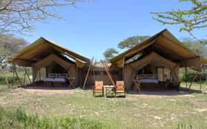 Laba Migration Mobile Camp