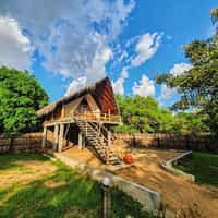 Thamaravila Wilpattu - Luxury Tented Safari Chalets