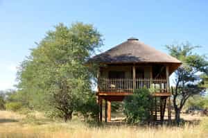 nThambo Tree Camp