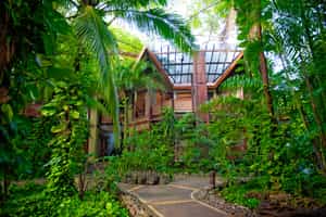 Hotel Bosque del Mar