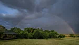 Enkewa Camp, Masai Mara