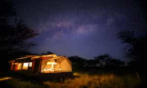 Olakira Migration Camp South - Ndutu