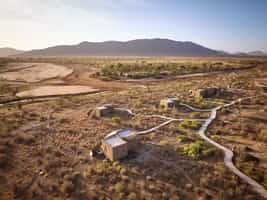 Ashnil Surana Buffalo Springs