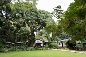 Mount Meru Game Lodge