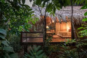 Anavilhanas Jungle Lodge