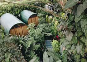 Sazagua Pereira Hotel Boutique