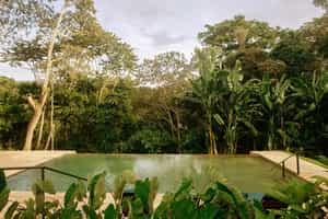 Kilimanjaro Coffee Lodge