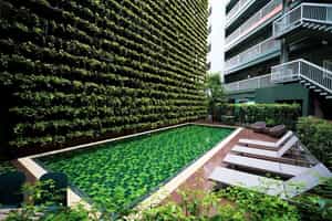 Cross Vibe Chiang Mai Decem Hotel