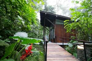 Minga Lodge & Reserve