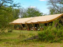 Intimate Camp Zebra