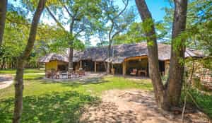 Miombo Safari Camp