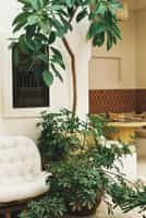 Riad Rosemary