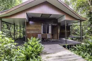 Rimba Orangutan Eco Lodge
