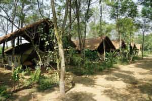 Tiger Tops Tharu Lodge