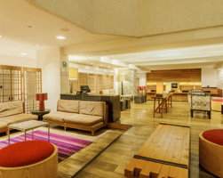 Camino Real Aeropuerto México