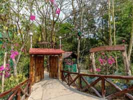 Sunderban Tiger Camp