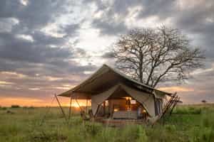 TAASA Migration Camp