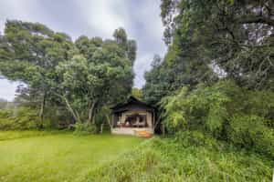Elewana Elephant Pepper Camp