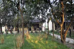 Rhino Lodge Bardia