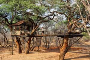 Tum Tum Treehouse Lodge