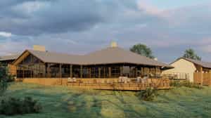 Laba Laba Ngorongoro Crater