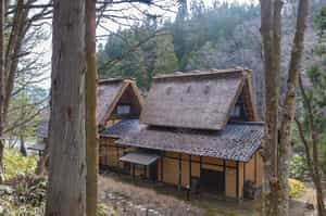 Wanosato