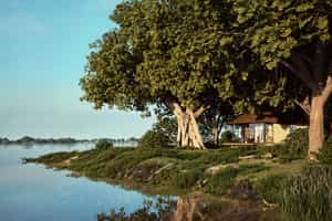 Chobe Savanna Lodge
