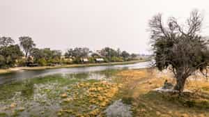 Okavango Horse Safaris