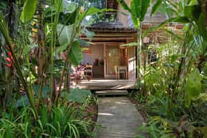 Capim Santo Trancoso