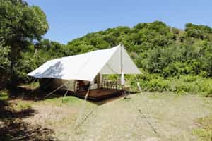 Quatermain's 1920s Safari Camp