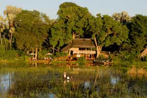 Jacana Camp