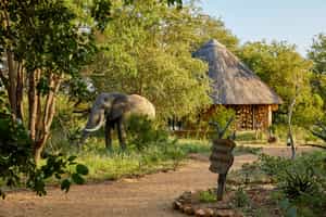 Motswari Game Lodge