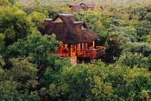 Makweti Safari Lodge
