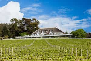 Mont Rochelle Hotel & Vineyard