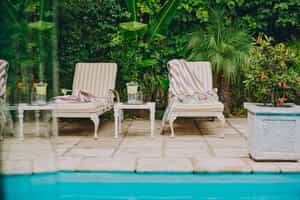 The Last Word Franschhoek