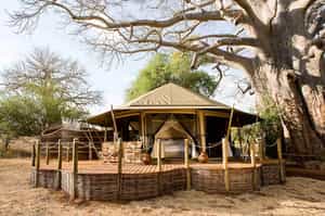 Swala Camp, an A&K Sanctuary