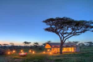 &Beyond Serengeti Under Canvas