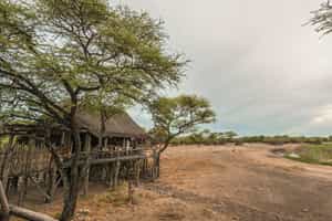 Onguma Tree Top Camp