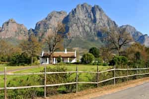 Boschendal Farm