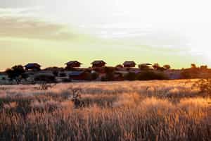 Bagatelle Kalahari Game Ranch