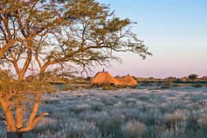 Kalahari Red Dunes