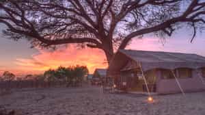 &Beyond Chobe Under Canvas 
