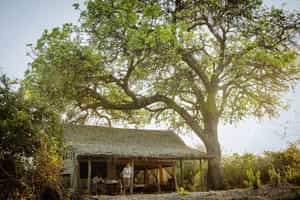 Nomad Kigelia Ruaha Camp