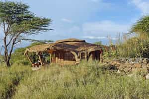 Lewa House