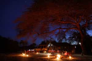 Gamewatchers Selenkay Adventure Camp 