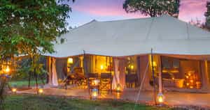 Mara Ngenche Safari Camp