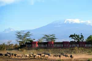 Amboseli Serena Lodge