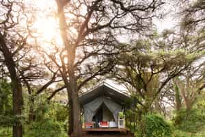 Ngorongoro Crater Camp, an A&K Sanctuary