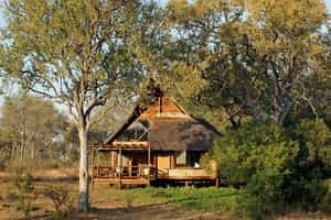 Lukimbi Safari Lodge
