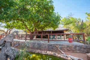 Tshukudu Game Lodge